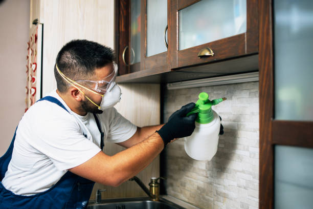Best Local Pest Control Services  in Marshall, IL