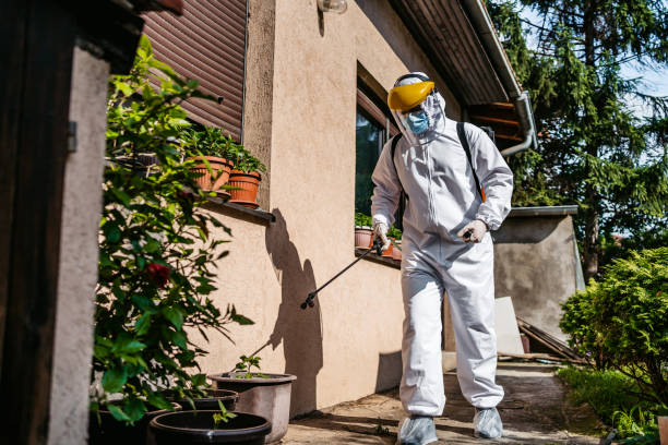 Best Wasp Removal Services  in Marshall, IL