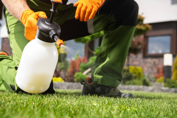 Best Flea Control Services  in Marshall, IL
