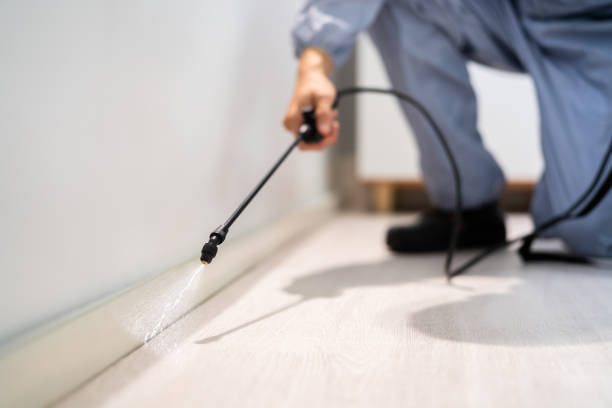 Best Affordable Pest Control Services  in Marshall, IL