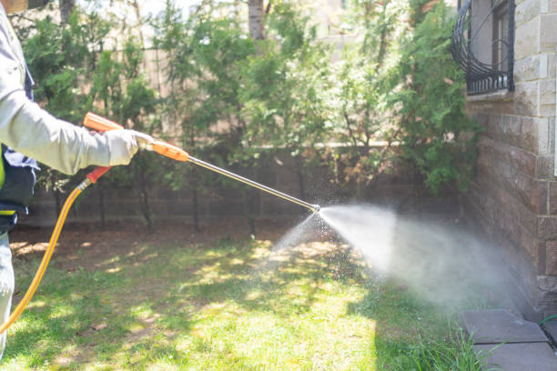 Best Pest Control for Restaurants  in Marshall, IL