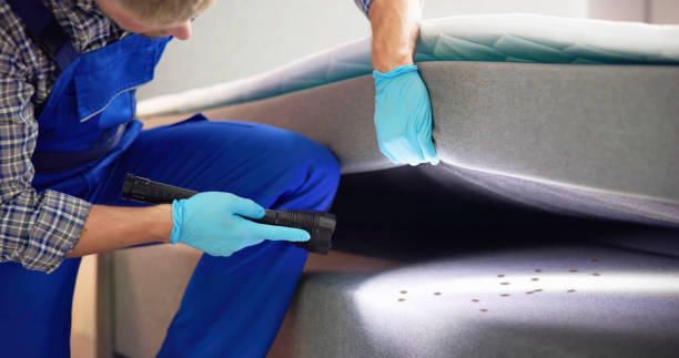Best Mosquito Control Services  in Marshall, IL