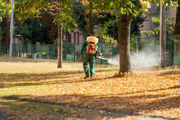 Reliable Marshall, IL Pest Control Solutions